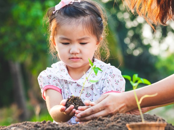 Girl planting Seedling