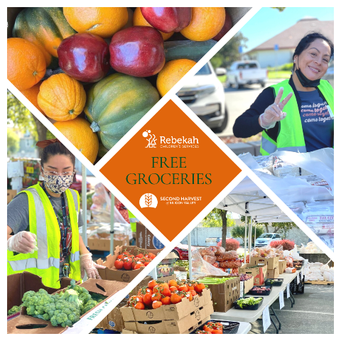 free grocery program free grocery program