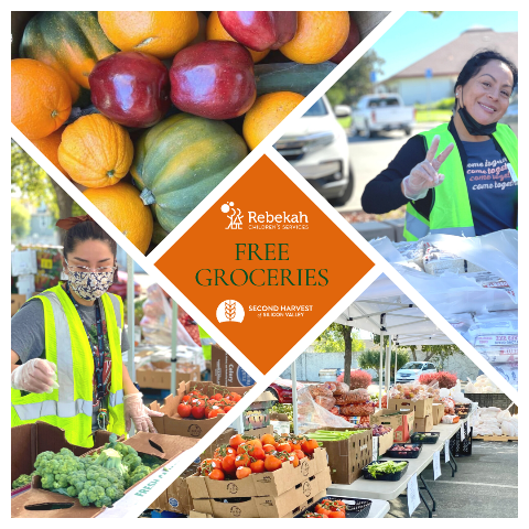 free grocery program